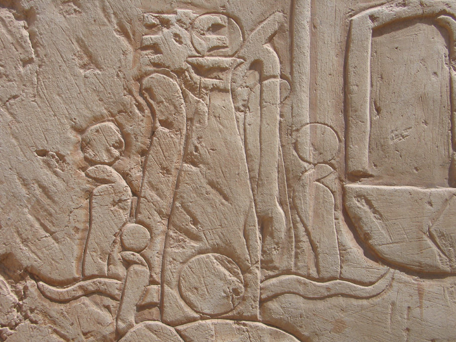 Recarving of the bark of Amun, northern wall. Photo J. Iwaszczuk